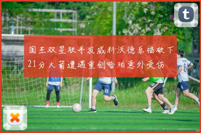 国王双星联手发威科沃德乐福砍下21分火箭遭遇重创哈珀意外受伤