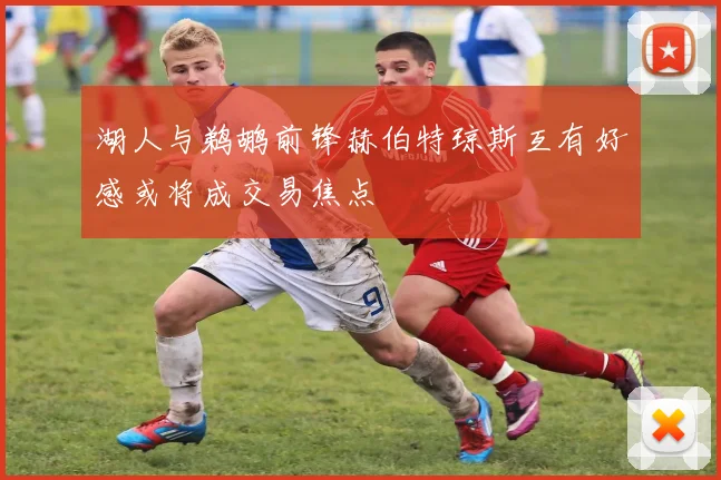 湖人与鹈鹕前锋赫伯特琼斯互有好感或将成交易焦点