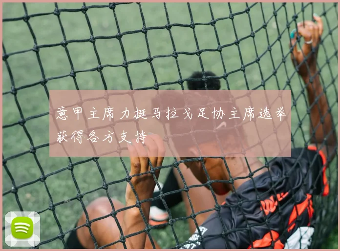 意甲主席力挺马拉戈足协主席选举获得各方支持